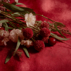 Native Himalayan wildflowers from the Shivalik foothills — source flora of Beespoke A700 honey